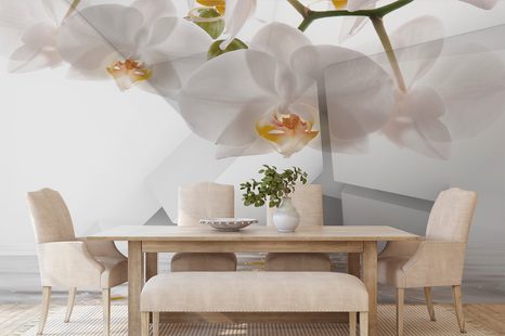 ΤΑΠΕΤΣΑΡΊΑ ΑΦΗΡΗΜΈΝΗ ΨΕΥΔΑΊΣΘΗΣΗ - ΤΑΠΕΤΣΑΡΊΑ ΜΕ ΣΧΈΔΙΑ - ΤΑΠΕΤΣΑΡΊΕΣ