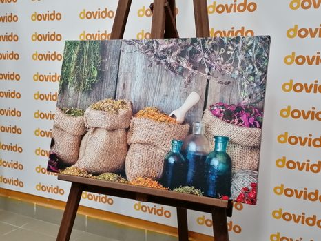 QUADRO SU TELA – ERBE MEDICINALI - QUADRI DI CIBI E BEVANDE - STAMPE E QUADRI