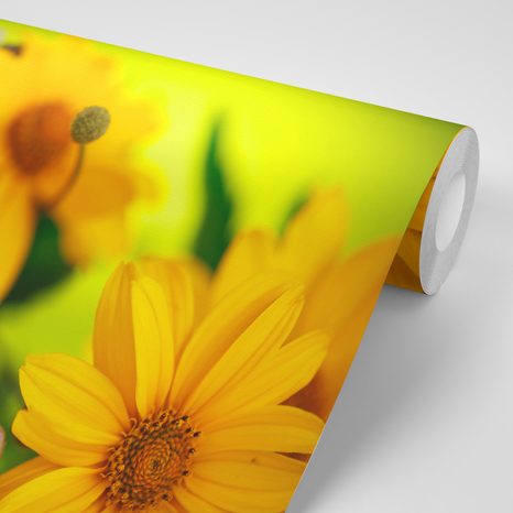 FOTOTAPETA LETNÍ KYTICE - TAPETY KVĚTINY - TAPETY