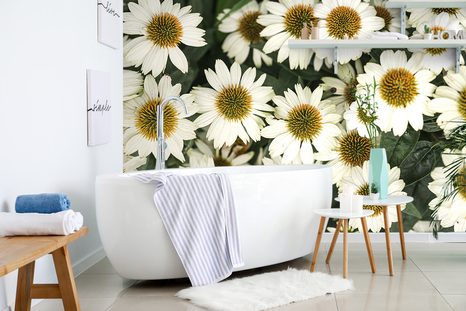 FOTOTAPETA LIEČIVÉ KVETY HARMANČEKA - TAPETY KVĚTINY - TAPETY