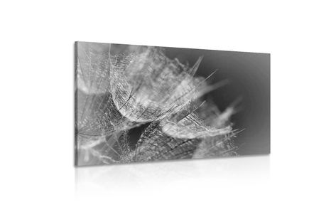 SLIKA ČRNOBELA VELIKA REGRATOVA LUČKA Z OZADJEM - ČRNOBELE SLIKE - SLIKE