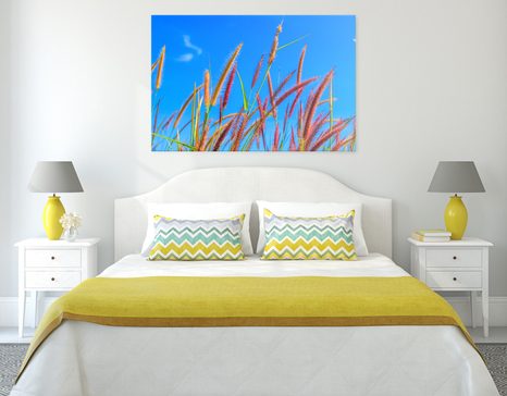 OBRAZ DZIKA TRAWA POD BŁĘKITNYM NIEBEM - OBRAZY PRZYRODY I KRAJOBRAZY - OBRAZY