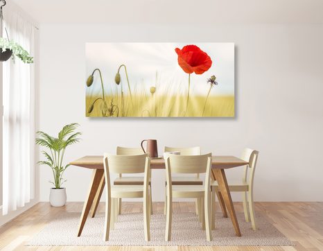 ΕΙΚΌΝΑ ΆΓΡΙΑΣ ΠΑΠΑΡΟΎΝΑΣ - ΠΊΝΑΚΕΣ ΑΠΌ ΛΟΥΛΟΎΔΙΑ - ΠΊΝΑΚΕΣ