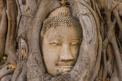 WANDBILD BUDDHAS HEILIGER FEIGENBAUM - BILDER MIT FENG SHUI-MOTIVEN - BILDER