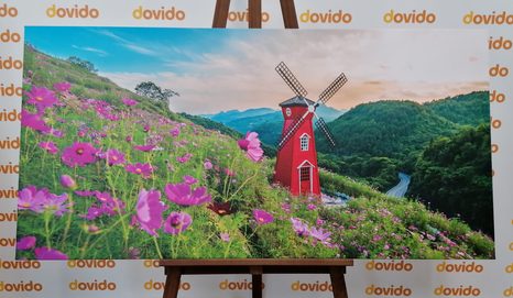 ΕΙΚΌΝΑ ΛΙΒΆΔΙ ΣΤΟ ΜΑΓΙΚΌ ΜΎΛΟ - ΠΊΝΑΚΕΣ ΦΎΣΗΣ ΚΑΙ ΤΟΠΊΟΥ - ΠΊΝΑΚΕΣ