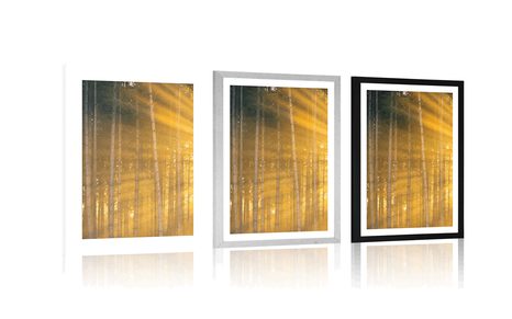 PLAKAT S PASPARTUOM SUNCE IZA STABALA - PRIRODA - PLAKATI