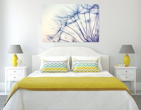 OBRAZ PAMPELIŠKA V JEDINEČNÉM PROVEDENÍ - OBRAZY KVĚTŮ - OBRAZY