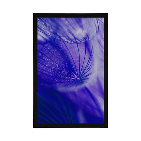 POSTER SCHÖNE PUSTEBLUME IN LILA - BLUMEN - POSTER