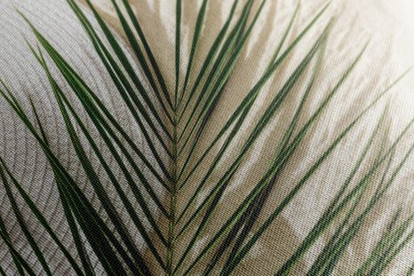 SLIKA POLETNO TIHOŽITJE - SLIKE TIHOŽITJE - SLIKE