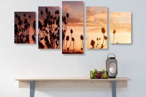 5-TEILIGES WANDBILD GRASHALME AUF DEM FELD - BILDER VON NATUR UND LANDSCHAFT - BILDER