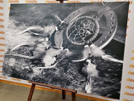 КАРТИНА НА ПЛАТНО – ЛОВЕЦ НА СЪНИЩА В ЧЕРНО-БЯЛ ВАРИАНТ - ЧЕРНО-БЕЛИ КАРТИНИ - КАРТИНИ