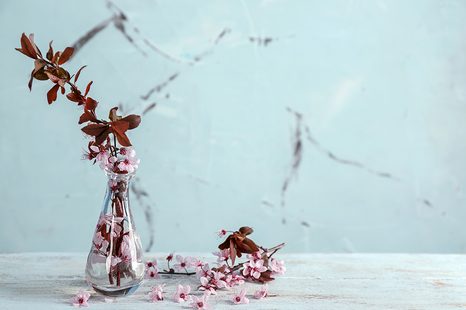 SAMOLEPÍCÍ FOTOTAPETA VĚTVIČKA VE VÁZE - SAMOLEPÍCÍ TAPETY - TAPETY