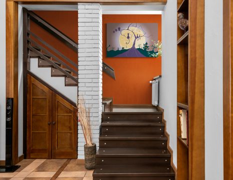 PICTURE GHOSTS OF THE NIGHT - PICTURES CATS - PICTURES