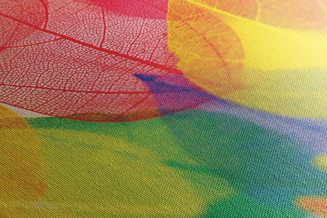 OBRAZ LIŚCIE W JESIENNYCH KOLORACH - OBRAZY PRZYRODY I KRAJOBRAZY - OBRAZY