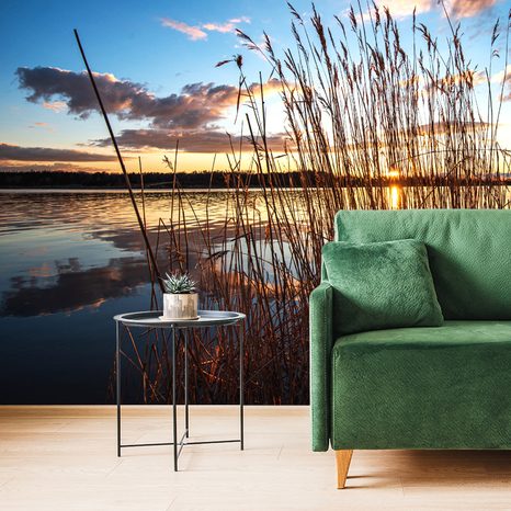 SELF ADHESIVE WALL MURAL GRASS BLADES BY THE LAKE - SELF-ADHESIVE WALLPAPERS - WALLPAPERS