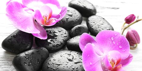 OBRAZ KOUZELNÁ SOUHRA KAMENŮ A ORCHIDEJE - OBRAZY FENG SHUI - OBRAZY