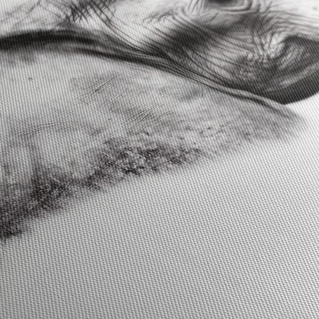 OBRAZ ELEGANTNÍ SLONÍ PROFIL - OBRAZY SLONI - OBRAZY