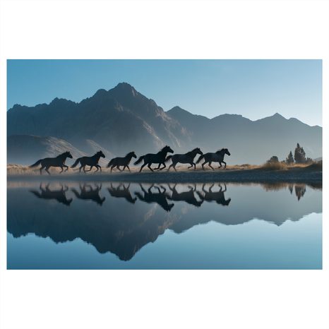OBRAZ KONĚ V HORSKÉ KRAJINĚ - OBRAZY KONĚ - OBRAZY