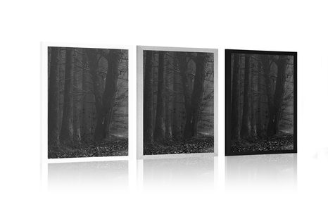 PLAKÁT TĚSTA V LESE V ČERNOBÍLÉM PROVEDENÍ - ČERNOBÍLÉ - PLAKÁTY