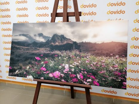 KÉP VIRÁGZÓ RÉT - TERMÉSZET- ÉS TÁJKÉPEK - KÉPEK