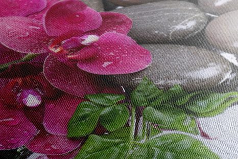 OBRAZ KVITNÚCA ORCHIDEA A WELLNESS KAMENE - OBRAZY FENG SHUI - OBRAZY