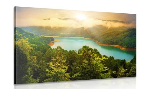 CANVAS PRINT RIVER IN THE MIDDLE OF A GREEN FOREST - PICTURES OF NATURE AND LANDSCAPE - PICTURES