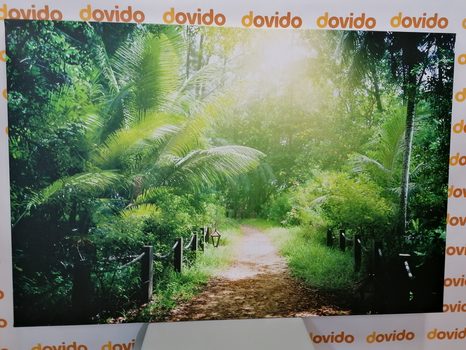 WANDBILD WEG AUF DEN SEYCHELLEN - BILDER VON NATUR UND LANDSCHAFT - BILDER