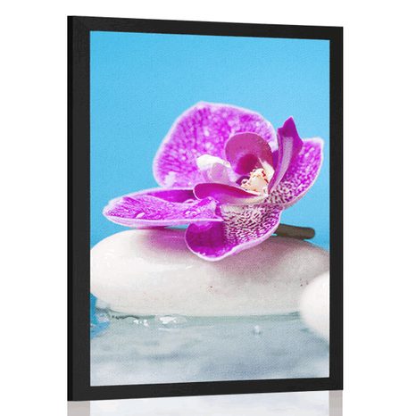 POSTER ORCHID AND ZEN STONES - FENG SHUI - POSTERS