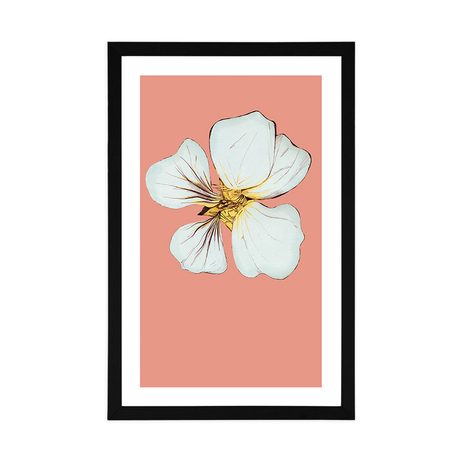 PLAKÁT S PASPARTOU NĚŽNOST KVĚTU KAPUCÍNKY - MOTIVY Z NAŠÍ DÍLNY - PLAKÁTY