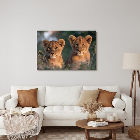 WANDBILD LÖWENJUNGE IN DER WILDNIS - BILDER VON LÖWEN UND TIGERN - BILDER