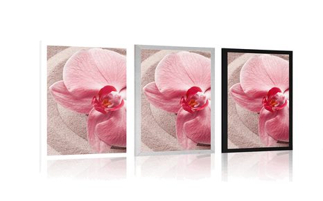 PLAKÁT MOŘSKÝ PÍSEK A RŮŽOVÁ ORCHIDEJ - FENG SHUI - PLAKÁTY