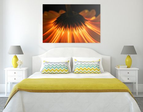WANDBILD GERBERA AUF DUNKLEM HINTERGRUND - BILDER BLUMEN - BILDER