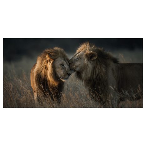 OBRAZ LVÍ KRÁLOVSKÁ HARMONIE - OBRAZY LVI A TYGŘI - OBRAZY