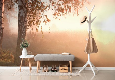 ΤΟΙΧΟΓΡΑΦΊΑ ΟΜΙΧΛΏΔΕΣ ΦΘΙΝΟΠΩΡΙΝΌ ΔΆΣΟΣ - ΤΑΠΕΤΣΑΡΊΑ ΦΎΣΗ - ΤΑΠΕΤΣΑΡΊΕΣ