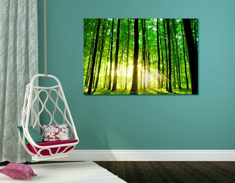 WANDBILD FRISCHER GRÜNER WALD - BILDER VON NATUR UND LANDSCHAFT - BILDER