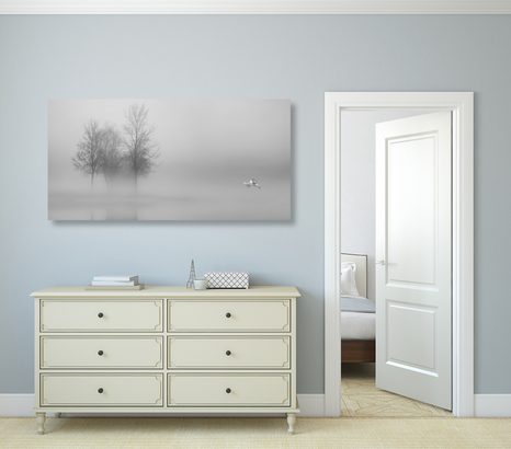 WANDBILD BÄUME IM NEBEL IN SCHWARZ-WEISS - SCHWARZ-WEISSE BILDER - BILDER