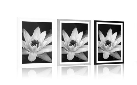 AFFICHE AVEC PASSE-PARTOUT – NÉNUPHAR EN NOIR ET BLANC - NOIR ET BLANC - AFFICHES