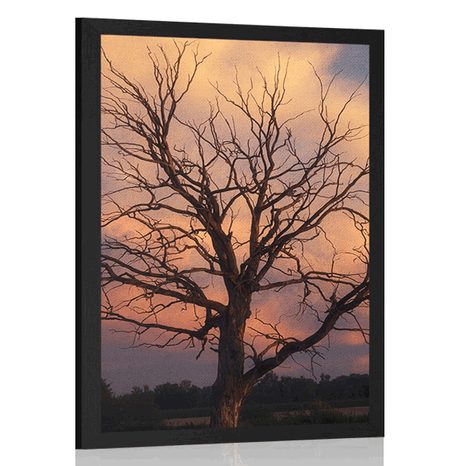 POSTER WUNDERSCHÖNER BAUM AUF DER WIESE - NATUR - POSTER