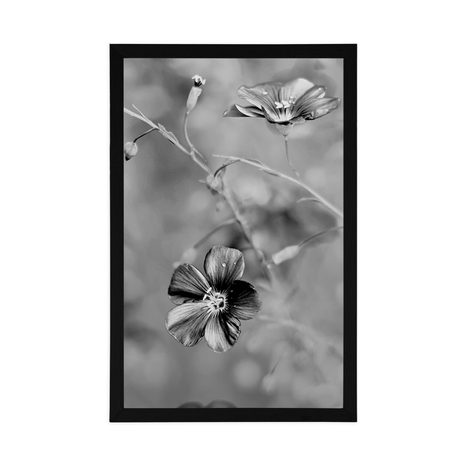PLAKÁT KVĚTINY V ČERNOBÍLÉM PROVEDENÍ - ČERNOBÍLÉ - PLAKÁTY
