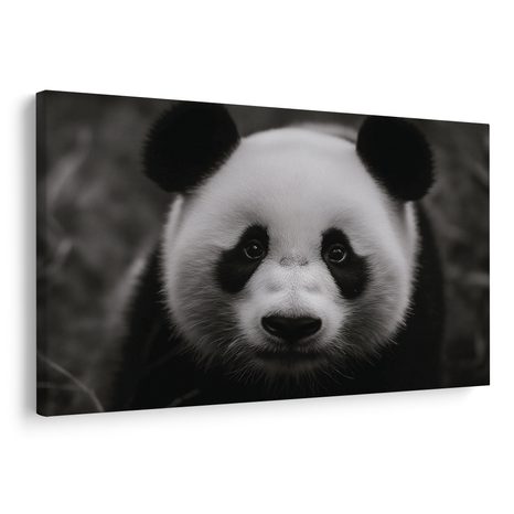 WANDBILD NIEDLICHER PANDA IN DER NATUR - BILDER TIERE - BILDER