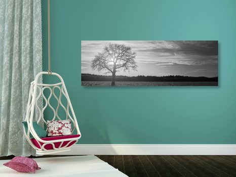 SLIKA SAMOTNO DREVO V ČRNOBELI IZVEDBI - ČRNOBELE SLIKE - SLIKE