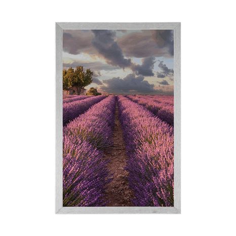 PLAKÁT ZEMĚ LEVANDULOVÝCH POLÍ - PŘÍRODA - PLAKÁTY