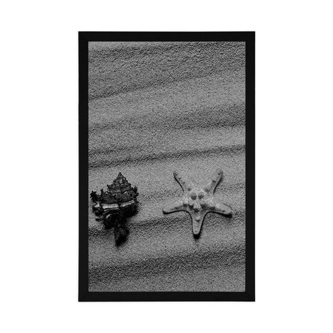 PLAKAT MUSZLE NA PIASZCZYSTEJ PLAŻY W CZERNI I BIELI - CZARNOBIAŁE - PLAKATY