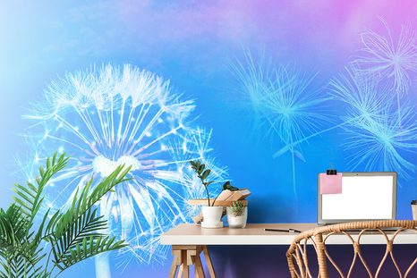 TAPETA PAMPELIŠKA NA MODRÉM POZADÍ - TAPETY KVĚTINY - TAPETY