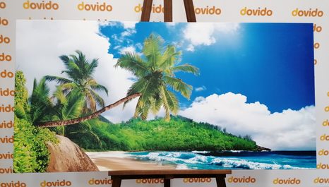 ΕΙΚΌΝΑ ΌΜΟΡΦΗ ΠΑΡΑΛΊΑ ΣΤΟ ΝΗΣΊ ΤΩΝ ΣΕΫΧΕΛΛΏΝ - ΠΊΝΑΚΕΣ ΦΎΣΗΣ ΚΑΙ ΤΟΠΊΟΥ - ΠΊΝΑΚΕΣ