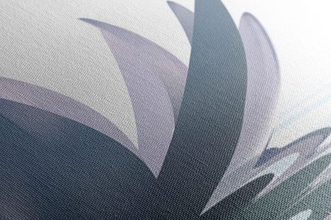 SLIKA LOTOSOV CVET - SLIKE ROŽ - SLIKE