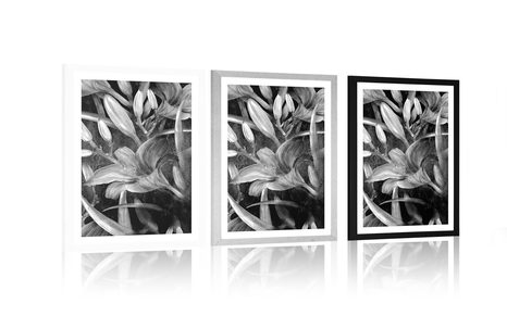 POSTER – FIORITURA DI GIGLIO IN BIANCO E NERO - NERO E BIANCO - POSTER