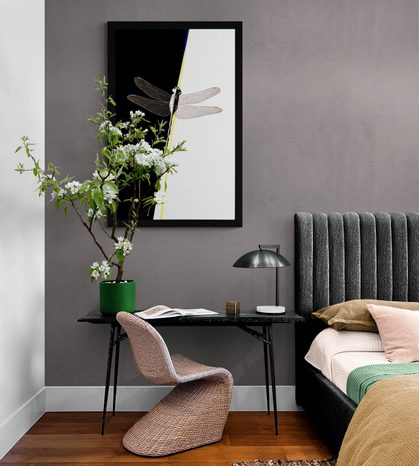 POSTER SCHÖNHEIT DER LIBELLE - MOTIVE AUS UNSERER WERKSTATT - POSTER