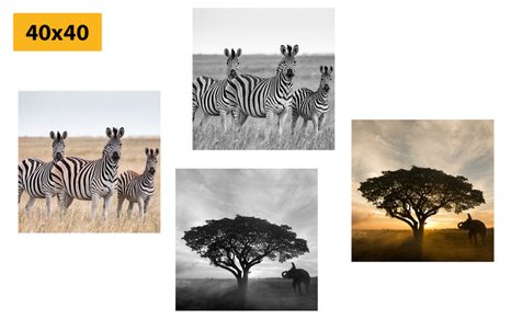 CANVAS PRINT SET ANIMALS LIVING ON THE SAVANNAH - SET OF PICTURES - PICTURES