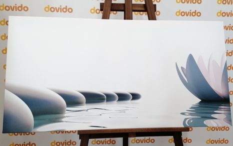 ΕΙΚΌΝΑ ΛΟΥΛΟΥΔΙΟΎ ΛΩΤΟΎ ΚΑΙ ΠΈΤΡΕΣ ΖΕΝ - ΠΊΝΑΚΕΣ ΦΕΝΓΚ ΣΟΎΙ - ΠΊΝΑΚΕΣ